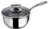 Berndes Cucinare Induction 3-3/8-Quart Saucepan with Lid