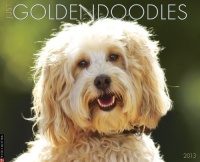 Goldendoodles 2013 Wall Calendar Goldendoodles 2013 Wall Calendar