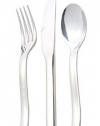 Christofle Stainless Steel Tenere Serving Spoon 2415-006