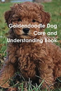 Goldendoodle Dog Care and Understanding Book Goldendoodle Dog Care and Understanding Book