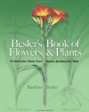 Besler's Book of Flowers and Plants: 73 Full-Color Plates from Hortus Eystettensis, 1613 (Dover Pictorial Archive)