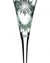 Waterford Crystal 2012 Snowflake Wishes for Courage Flute, 2nd Edition