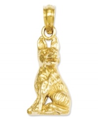Honor your favorite breed. This polished charm features an intricately-carved German Shepherd dog in 14k gold. Chain not included. Approximate length: 9/10 inch. Approximate width: 2/5 inch.