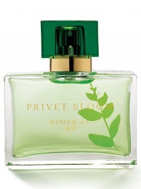 A delicate floral scent that captures all the splendor of summer in the Hampton's. A fresh blend of lemon verbena, dune rose, sea grass and captivating privet blossom. Top Notes: Lily of the Valley, Lemon Verbena, Jasmine Middle Notes: Dune Rose, White Hyacinth, Privet Blossom Low Notes: Sea Grass, Sun-Warmed Musk, Blue Plum 1.7 oz. A delicate floral scent that captures all the splendor of summer in the Hampton's. A fresh blend of lemon verbena, dune rose, sea grass and captivating privet blossom. Top Notes: Lily of the Valley, Lemon Verbena, Jasmine Middle Notes: Dune Rose, White Hyacinth, Privet Blossom Low Notes: Sea Grass, Sun-Warmed Musk, Blue Plum 1.7 oz.