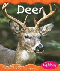 Deer (Woodland Animals) Deer (Woodland Animals)