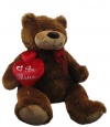 30 Plush Love Teddy Bear Holding Heart