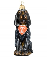 Immortalizing Tennessee's number one pooch, Smokey the Bluetick Coonhound, this soon-to-be fan favorite is something the Vols can celebrate year round.