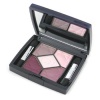 Christian Dior 5 Color Eyeshadow