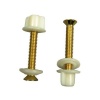 Danco 88653 Brass Plated Toilet Seat Hinge Bolts