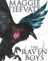 The Raven Boys (Raven Cycle)