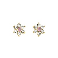 14K Yellow Gold Plated Pink Flower CZ Stud Earrings with Screw-back for Children & Women 14K Yellow Gold Plated Pink Flower CZ Stud Earrings with Screw-back for Children & Women
