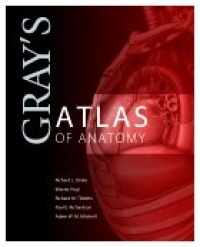 Gray's Atlas of Anatomy, 1e (Gray's Anatomy) Gray's Atlas of Anatomy, 1e (Gray's Anatomy)