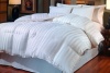 800 Thread Count Cabana Stripe Goose Down Comforter King