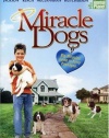 Miracle Dogs