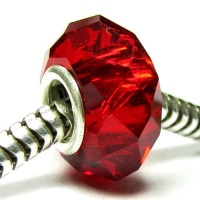 Sterling Silver Birthstone Red Crystal European Bead Charm January