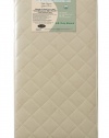 L A Baby Coconut 240 Coil Inner Spring Crib Mattress, Gold