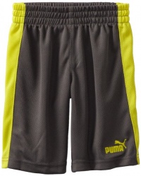 Puma - Kids Boys 2-7 Little Mesh 7 Cm Short, Grey, 7 Puma - Kids Boys 2-7 Little Mesh 7 Cm Short, Grey, 7
