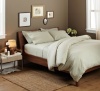 Pinzon Signature 190-Gram Velvet Flannel Full/Queen Duvet Set, Sage Green