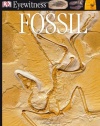 DK Eyewitness Books: Fossil