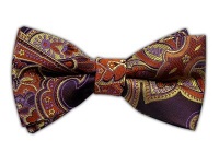 100% Silk Woven Eggplant Sprouting Paisley Self-Tie Bow Tie