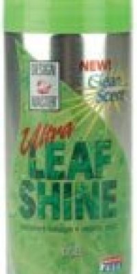 Design Master Ultra Leaf Shine Spray 6 Oz. Design Master Ultra Leaf Shine Spray 6 Oz.