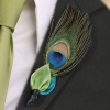 Peacock Boutonniere