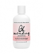 An ultra-mild, moisture-rich cleanser for the truly damaged (who regularly color, straighten or perm). Supercharged formula gently cleanses and repairs damage without stripping color, wilting perms or reverting chemically straightened hair.Usage: Wet hair, lather and rinse thoroughly.Product Recipe: For most intense care, pair with Mending Conditioner, Complex and Masque. Color compatible.