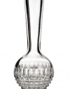 Waterford Fleurology Caroline 8-Inch Single Stem Bubble Vase