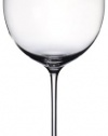 Villeroy & Boch Allegorie Premium 9-3/4-Inch Burgandy Glass