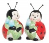 Adorable Ladybug Salt And Pepper Shakers For Kitchen Decor Great Gift Item