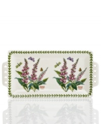 Plant this pierced sandwich tray alongside other classic pieces from Portmeirion's Botanic Garden dinnerware collection for added charm. Lifelike flowers bloom and entice colorful butterflies on white porcelain with a triple-leaf border. Plant this pierced sandwich tray alongside other classic pieces from Portmeirion's Botanic Garden dinnerware collection for added charm. Lifelike flowers bloom and entice colorful butterflies on white porcelain with a triple-leaf border.