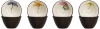 Noritake Colorwave Floral Bowl, 4-Inch, Chocolate, Set of 4