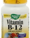 Nature's Way Vitamin B12 Lozenge, 100 Count