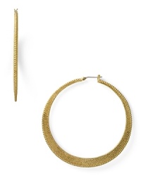 Lauren Ralph Lauren taps into the textured trend with this pair of gold-plated hoop earrings, flaunting a bold shape and subtle detailing. Lauren Ralph Lauren taps into the textured trend with this pair of gold-plated hoop earrings, flaunting a bold shape and subtle detailing.