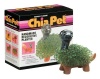 Chia Dinosaur Collectable