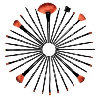 SHANY Super Professional Brush Set with Leather Pouch, 32 Count SHANY Super Professional Brush Set with Leather Pouch, 32 Count