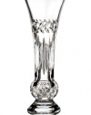 Water Fleurology Amy 9-Inch Single Stem Vase