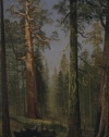 Albert Bierstadt The Grizzly Giant Sequoia Mariposa Grove California 6.78 X 9.62 Peel and Stick Wall Art