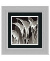 A fusion of art and technology, this art print offers a fresh look at calla lilies. By combining x-ray images, artist Steven Meyers captures otherwise unseen details and dramatic shadows. Framed in stainless steel for a sophisticated, modern finish. A fusion of art and technology, this art print offers a fresh look at calla lilies. By combining x-ray images, artist Steven Meyers captures otherwise unseen details and dramatic shadows. Framed in stainless steel for a sophisticated, modern finish.
