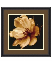 Sepia magnolia. Delicate petals unfurl in a perfect bloom in Timeless Grace II by Charles Britt. Floating on a dark ground, this floral portrait is a fresh perspective on the natural world. Featuring black frame with beaded edge. Sepia magnolia. Delicate petals unfurl in a perfect bloom in Timeless Grace II by Charles Britt. Floating on a dark ground, this floral portrait is a fresh perspective on the natural world. Featuring black frame with beaded edge.