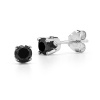 10k White Gold Black Diamond Stud Earrings (1/4 cttw)