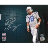 Steiner Sports NFL Peyton Manning Walking Through Tunnel Autographed 8-by-10-Inch Photograph