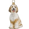 Mouth blown and hand painted by some of the finest artists in Poland, this Goldendoodle ornament is a favorite for hanging on the tree. This collection has been taken to a whole new level in detail, uniqueness and artistic direction.
