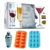 Molecular Mixology Kit Cocktail R-EVOLUTION + 16-Ounce Stainless Steel Cocktail Shaker, Silicone Penguin Ice Cube Tray and Baking Mold & Duck Ice Cube Tray