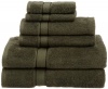 Pinzon Basics 100-Percent Egyptian Cotton 725-Gram 6-Piece Towel Set, Moss