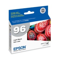Epson T096720 Stylus Photo R2880 Printer UltraChrome K3 Ink Cartridge (Light Black) Epson T096720 Stylus Photo R2880 Printer UltraChrome K3 Ink Cartridge (Light Black)