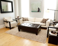 Anji Mountain Silky Shag Area Rug Anji Mountain Silky Shag Area Rug