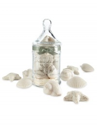 Nine assorted seashell-shaped soaps, fragrant with White Honeysuckle and Baby Jasmine. Presented in a classic glass apothecary jar and tied with a satin ribbon. Nine assorted seashell-shaped soaps, fragrant with White Honeysuckle and Baby Jasmine. Presented in a classic glass apothecary jar and tied with a satin ribbon.