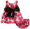 Hartstrings Baby-Girls Newborn Rose Print Sateen Dress And Diaper Cover Set, Red Novelty, 6-9 Months