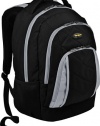 Targus Brilliance II Backpack Designed for 16-Inch Laptop - TSB219US (Black/Gray)